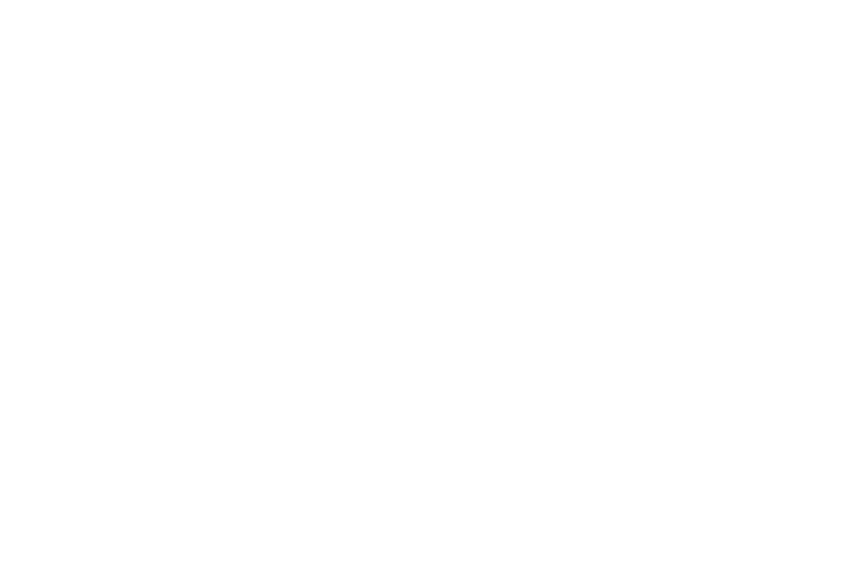 OFFICIAL SELECTION - Woods Hole Film Festival - 2021(1)