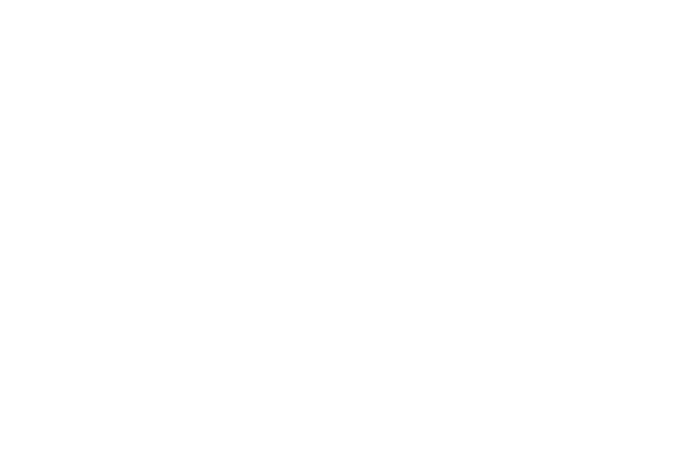 Official Selection - Filmfest Hamburg - 2010